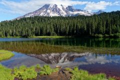 Mount Rainier : reflet