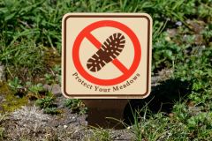 Règle stricte dans le parc