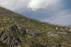 Lac Chelan : brulis