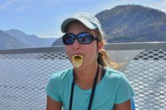 Lac Chelan : canard sur le lac