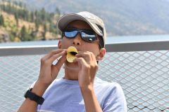 Lac Chelan : canard sur le lac