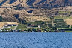 Lac Chelan : verger