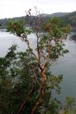 Deception Pass