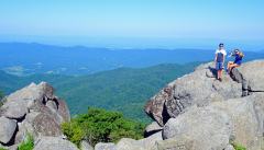 BLue Ridge Sharp Top Trail