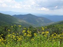 Blue Ridge Parkway
