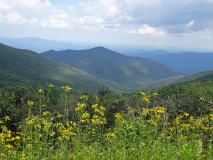 Blue Ridge Parkway