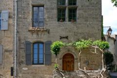 Pézenas - Claire