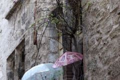 Pézenas - rue