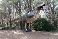 Mèze - la plaine des dinosaures : Tyrannosaure