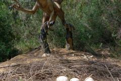 Mèze - la plaine des dinosaures